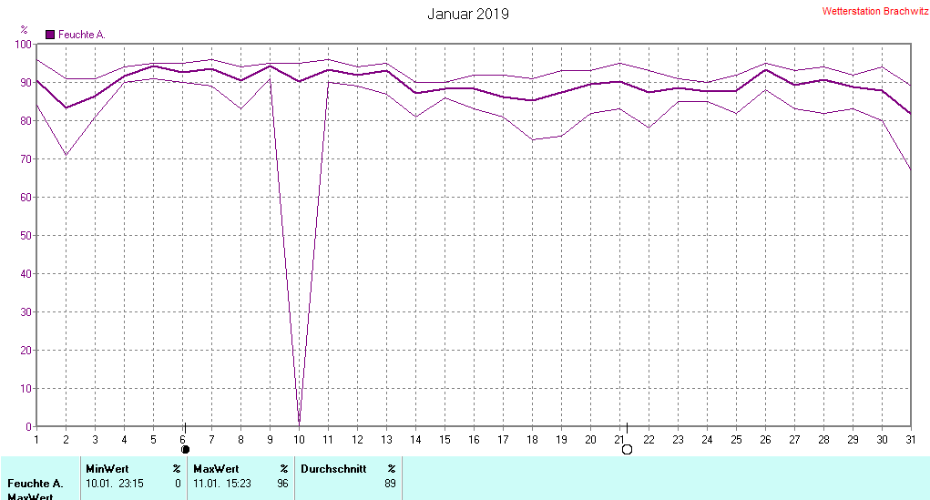 Januar 2019 - Luftfeuchtigkeit