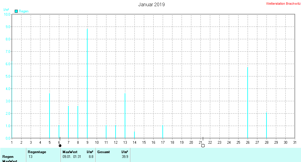 Januar 2019 - Niederschlag