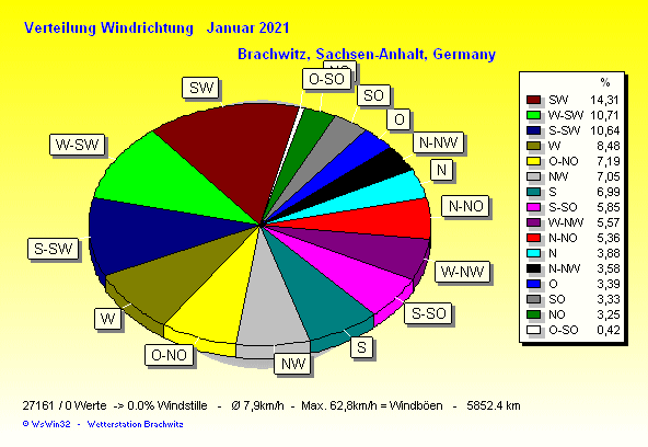 Januar 2021 - Windverteilung Windrichtung