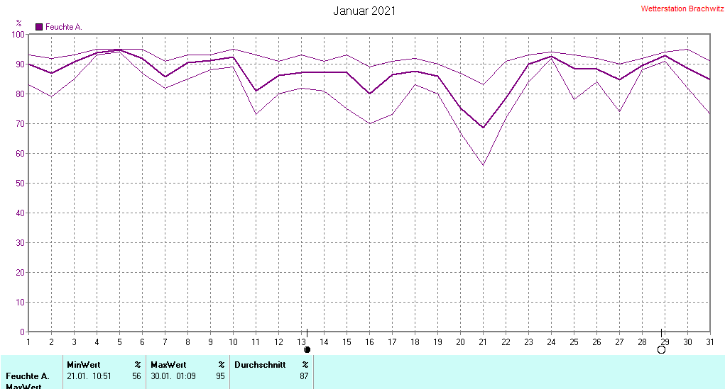 Januar 2021 - Luftfeuchtigkeit