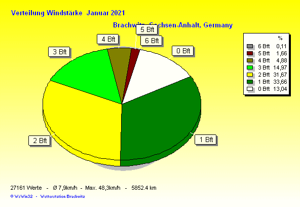 Januar 2021 - Verteilung Windstärke