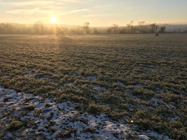 Winter Bilder Wetterstation Brachwitz
