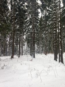 Winter Bilder Wetterstation Brachwitz