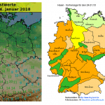 Der Frühling streckt seine Fühler aus