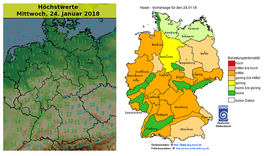 Der Frühling streckt seine Fühler aus