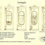 Sturm im Sturmglas Datum 11.06.2018 In der ersten Hälfte des 19ten Jahrhunderts sollte das sogenannte Sturmglas die Wettervorhersage verbessern. Das heutige Thema des Tages wirft einen kurzen Blick auf seine Geschichte und Funktionsweise. Sturm im Sturmglas Am heutigen Montag (11.06.) kann man beobachten, dass der Gewitterlage über Deutschland allmählich die Puste ausgeht. Vor allem in den Nordwesten ist schon verbreitet deutlich kühlere Luft eingeflossen, so dass die Höchstwerte dort nur noch um 23 Grad liegen werden. In der Südosthälfte sieht dies etwas anders aus. Dort ist weiter feuchte und heiße Luft anzutreffen, womit die "Gewitterei" anhält. Im äußersten Südosten steigen die Temperaturen sogar noch einmal auf Werte um 30 Grad. Damit stehen wir Meteorologen einmal mehr (wie schon seit Wochen) vor einem Kommunikationsproblem. Wir können zwar aufgrund der Eigenschaften einer Luftmasse sehr gut abschätzen, in welchen Regionen sich Gewitter bilden werden. Und auch die Begleiterscheinungen (heute z. B. heftiger Starkregen, Hagel, Sturm- oder Orkanböen, kurz: der Charakter der Gewitter) lassen sich vorab recht gut vorhersagen. Allerdings: Den genauen Ort der Gewitter können wir - wenn überhaupt - nur recht kurzfristig vorhersagen. Kann man mehr erwarten? Gute Frage. Aber es gab eine Zeit, in der diesbezüglich große Hoffnungen gemacht wurden. Es handelt sich um die erste Hälfte des 19ten Jahrhunderts, und der Hoffnungsträger der Wettervorhersage hieß Robert FitzRoy (1805 - 1865). Dem Admiral der Britischen Marine, der als Kapitän des Forschungsschiffs HMS Beagle mit Charles Darwin zu dessen legendärer Forschungsreise aufbrach, wird die Erfindung des sogenannten Sturmglases zugeschrieben. Bei diesem Sturmglas handelt es sich um einen abgeschlossenen Glaszylinder, in dem sich ein Gemisch aus Wasser, Campher, Kaliumnitrat und Ammoniumchlorid befindet. Dieses Gemisch hat die Eigenschaft, dass sich in ihm zeitweise Kristalle unterschiedlicher Form und Größe ausbilden, die sich später wieder auflösen, bevor das Spiel von vorn beginnt. Die - zugegebenermaßen steile - These war nun die, dass aus der Struktur, Größe und Verteilung dieser Kristalle Rückschlüsse auf die zukünftige Wetterentwicklung gezogen werden können. So dachte man beispielsweise, dass - eine klare Flüssigkeit sonniges und klares Wetter, - kleine, schwebende Flöckchen feuchtes und nebliges Wetter, - Kristalle auf dem Boden Frost und - Kristalle an der Oberfläche Sturm bedeuten. Letzterem hat das Sturmglas seinen Namen zu verdanken. Und auch Gewitter sollte das Sturmglas vorhersagen können, nämlich wenn das Glas sich leicht trübt und kleine Kristallsterne zu erkennen sind. Da wird der Meteorologe von heute blass vor Neid. Vollends die Tränen in die Augen treibt ihm aber die Aussage, dass die Vorhersagen des Sturmglases, und damit natürlich auch die Gewittervorhersagen, für die nächsten 24 bis 36 Stunden gelten sollten. Aber, Sie ahnen es, das Sturmglas konnte sich nicht durchsetzen. Böse Zungen könnten behaupten, die psychoaktive Wirkung des Camphers, insbesondere die Verwirrtheit bei Überdosierung, könnten dem Erfinder des Sturmglases zugesetzt haben. Aber dies ist natürlich nicht belegt. Der Wirbel um das Sturmglas, das heute gerne noch als Deko aufgestellt wird, hat sich also gelegt. Somit könnte man die Aufregung um das "Messgerät", in Abwandlung eines bekannten Sprichworts, als "Sturm im Sturmglas" bezeichnen. Dipl.-Met. Martin Jonas Deutscher Wetterdienst Vorhersage- und Beratungszentrale Offenbach, den 11.06.2018 Copyright (c) Deutscher Wetterdienst