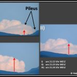 Die Wolkenmütze (Pileus)